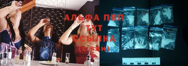 ПСИЛОЦИБИНОВЫЕ ГРИБЫ Новокубанск